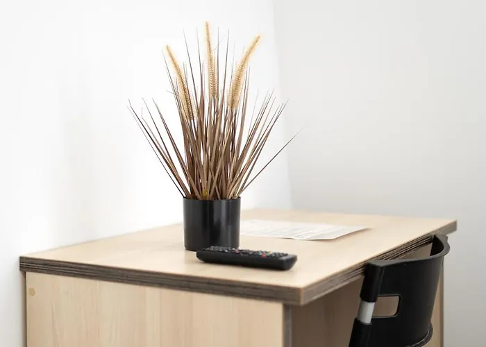 Hc 호텔 체스케부데요비체